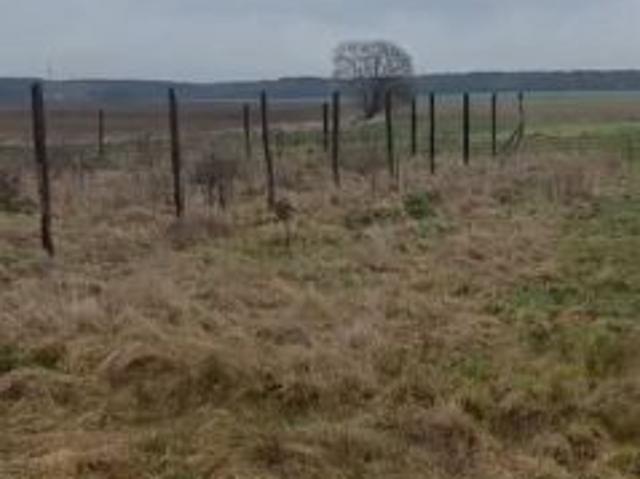 Grunt na sprzedaż w Syców, Dolnośląskie