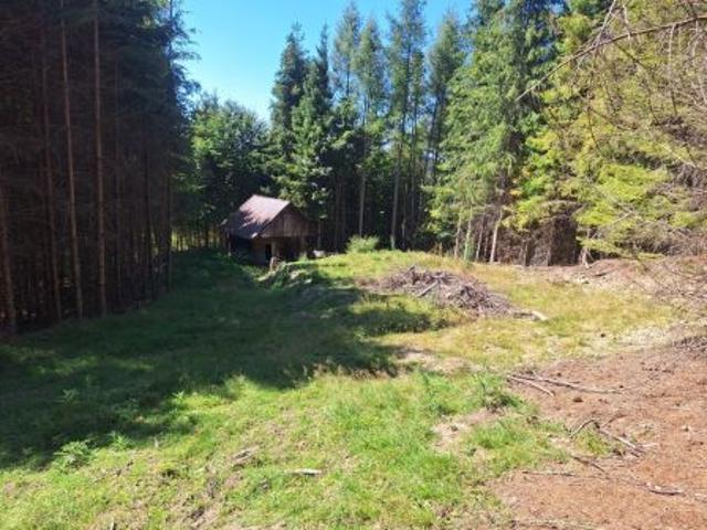 Grunt na sprzedaż w Szczawnica, Małopolskie