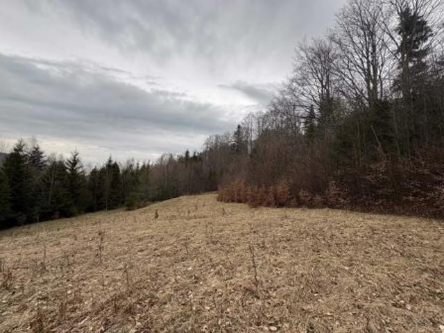 Grunt na sprzedaż w Szczyrk, Śląskie