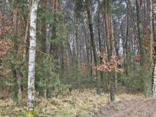 Grunt na sprzedaż w Szczytniki Duchowne, Wielkopolskie