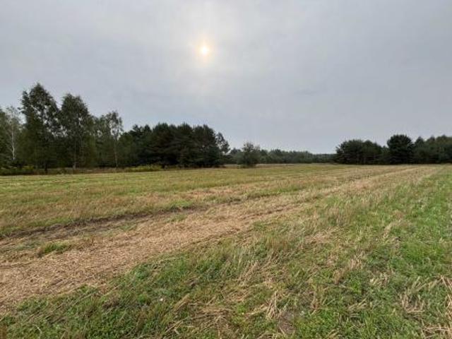 Grunt na sprzedaż w Teodorów, Mazowieckie