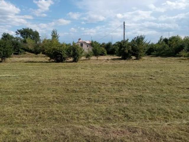 Grunt na sprzedaż w Terespol, Lubelskie