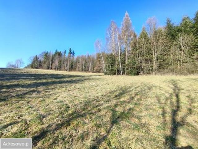 Grunt na sprzedaż w Tokarnia, Małopolskie