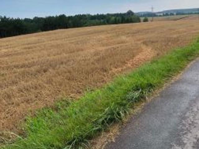 Grunt na sprzedaż w Topólka, Kujawsko-pomorskie