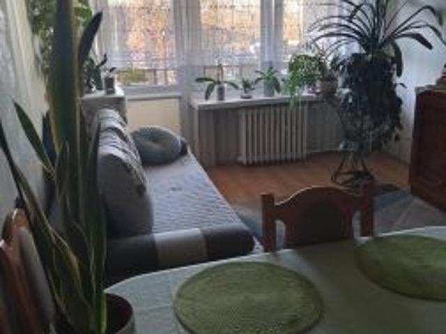Mieszkanie na sprzedaż w Toruń