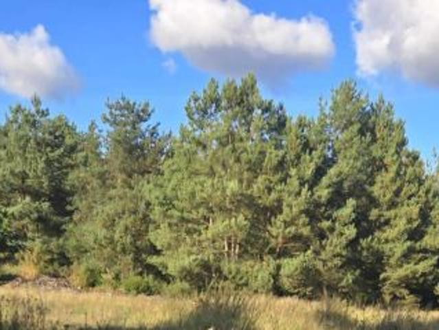 Grunt na sprzedaż w Toruń, Kujawsko-pomorskie