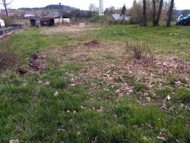 Grunt na sprzedaż w Torzym, Lubuskie