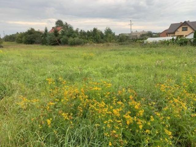 Grunt na sprzedaż w Trawniki, Lubelskie