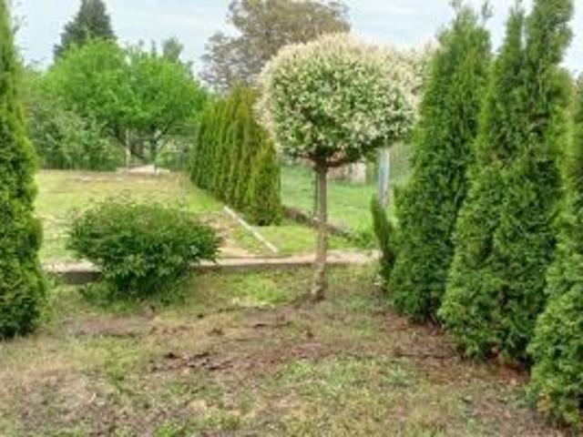 Grunt na sprzedaż w Trzcianka, Wielkopolskie