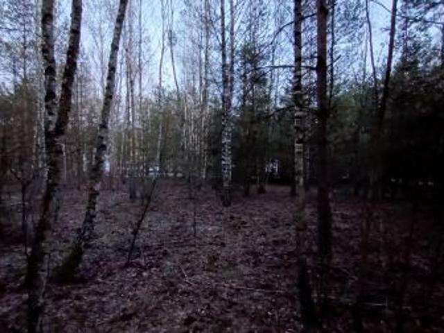 Grunt na sprzedaż w Trzciany, Mazowieckie