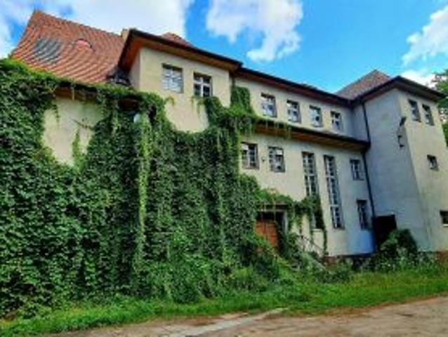 Dom na sprzedaż w Trzciel, Lubuskie
