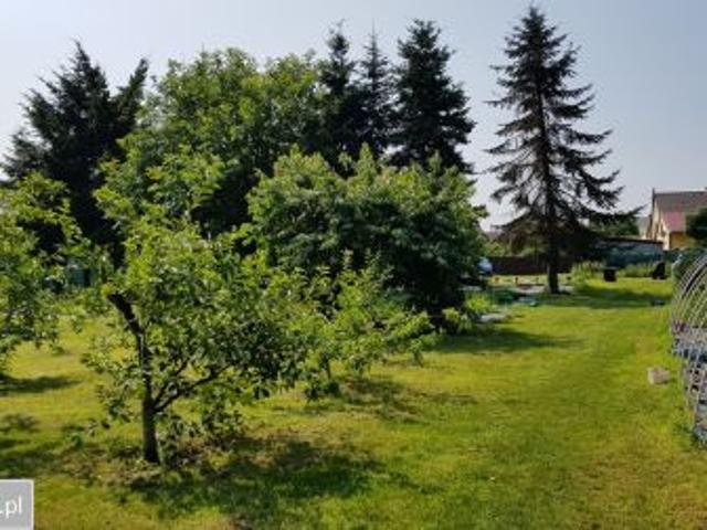 Grunt na sprzedaż w Trzebiechów, Lubuskie