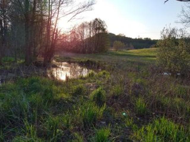 Grunt na sprzedaż w Trzepowo, Pomorskie