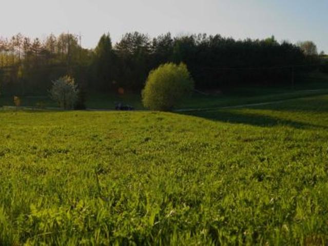 Grunt na sprzedaż w Tuchów, Małopolskie