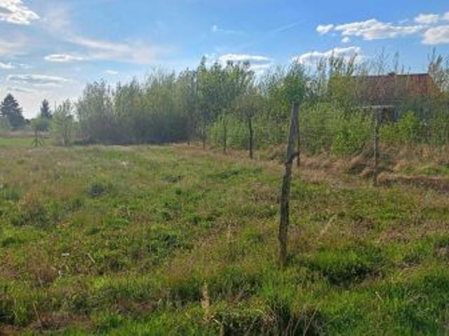 Grunt na sprzedaż w Ujście, Wielkopolskie