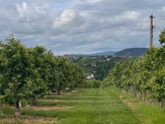 Grunt na sprzedaż w Łukowica, Małopolskie