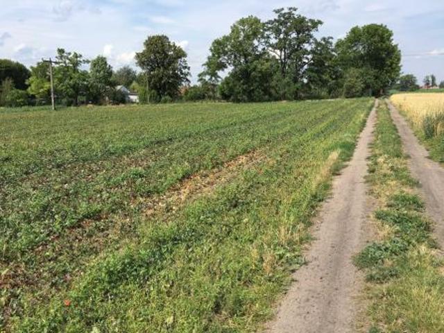 Grunt na sprzedaż w Żukówka, Mazowieckie
