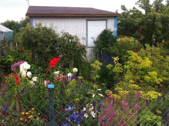 Grunt na sprzedaż w Żukowo, Pomorskie