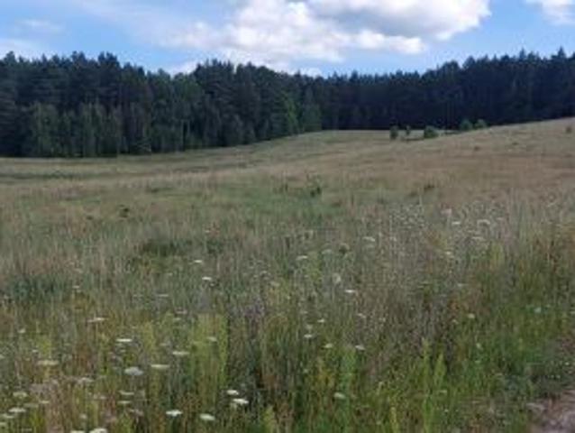 Grunt na sprzedaż w Unieszewo, Warmińsko-mazurskie
