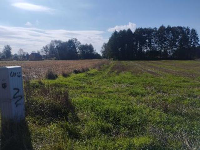 Grunt na sprzedaż w Urszulin, Lubelskie
