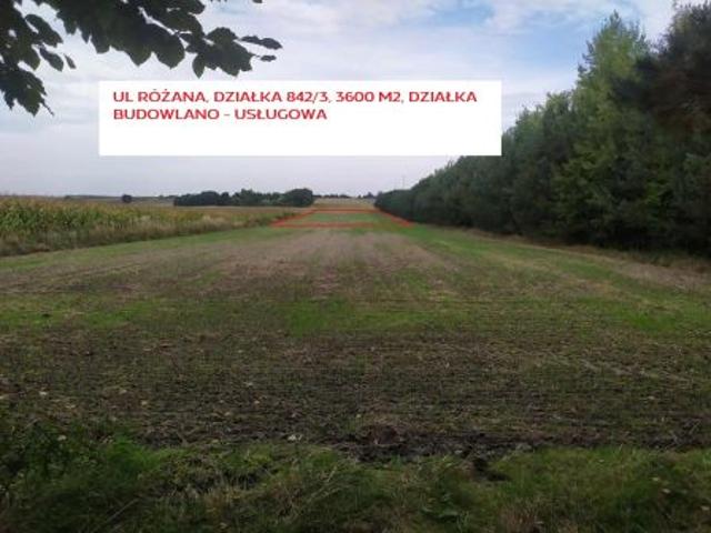 Grunt na sprzedaż w Urzędów, Lubelskie