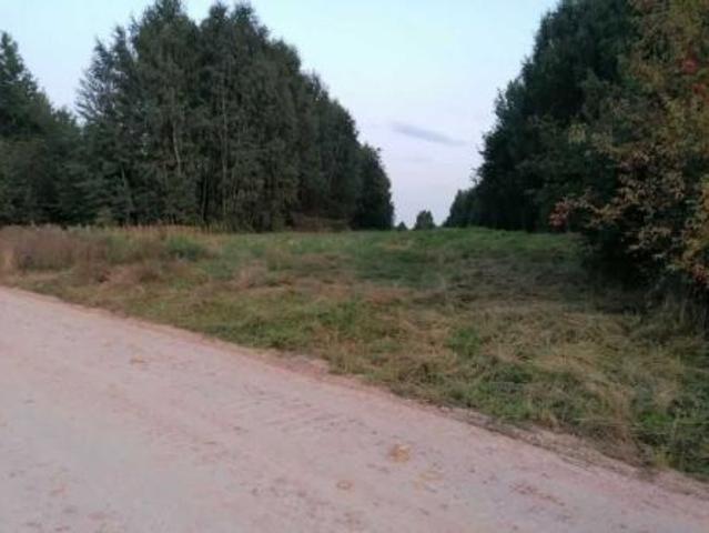 Grunt na sprzedaż w Wąchock, powiat starachowicki