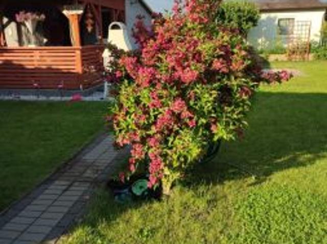 Grunt na sprzedaż w Wągrowiec, Wielkopolskie
