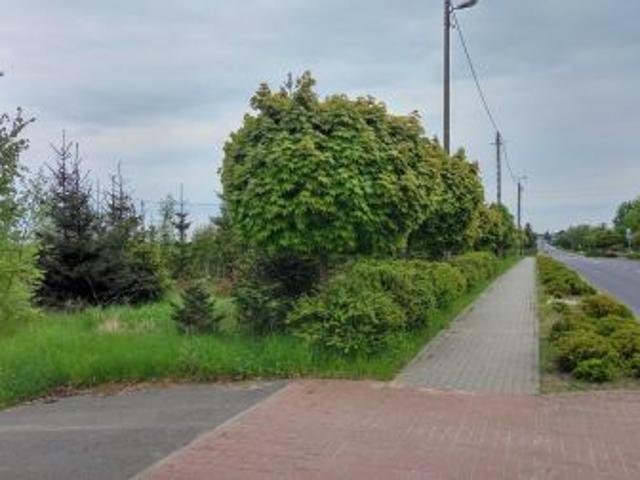 Grunt na sprzedaż w Wapno, Wielkopolskie