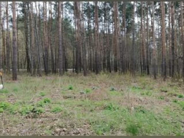 Grunt na sprzedaż w Warszawa, Mazowieckie