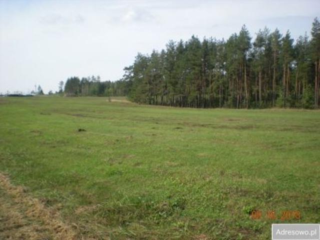 Grunt na sprzedaż w Wasilków, Podlaskie
