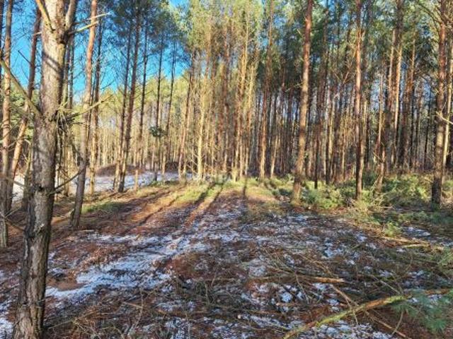 Grunt na sprzedaż w Świecie, Kujawsko-pomorskie