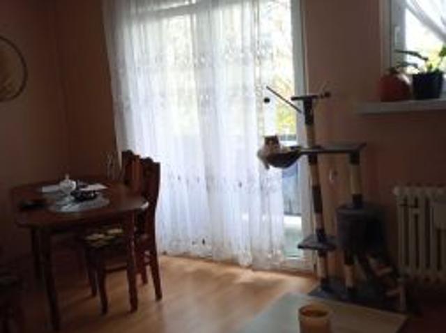 Mieszkanie na sprzedaż w Świecie, powiat świecki