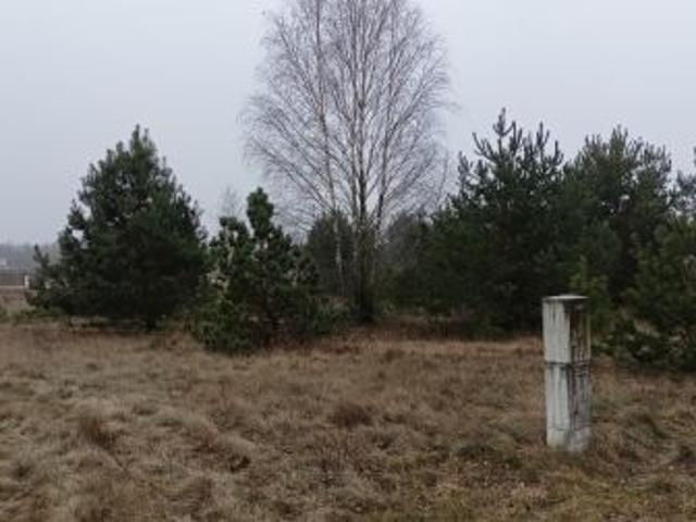 Grunt na sprzedaż w Wielbark, Warmińsko-mazurskie
