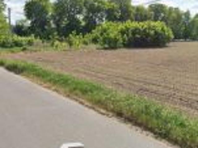 Grunt na sprzedaż w Wielgie, Kujawsko-pomorskie