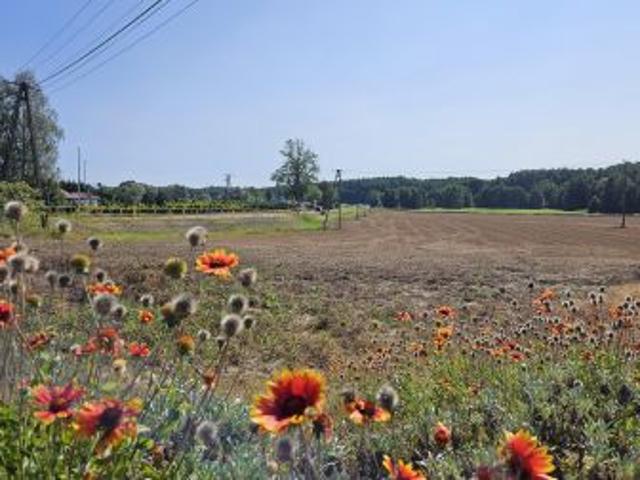 Grunt na sprzedaż w Wielka Nieszawka, Kujawsko-pomorskie