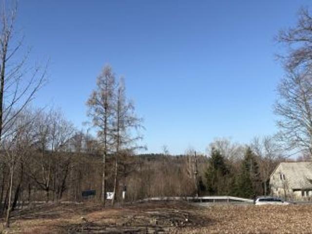 Grunt na sprzedaż w Świeradów-zdrój, Dolnośląskie