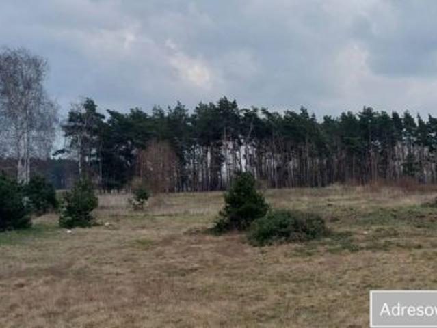 Grunt na sprzedaż w Wierzbiczany, Wielkopolskie