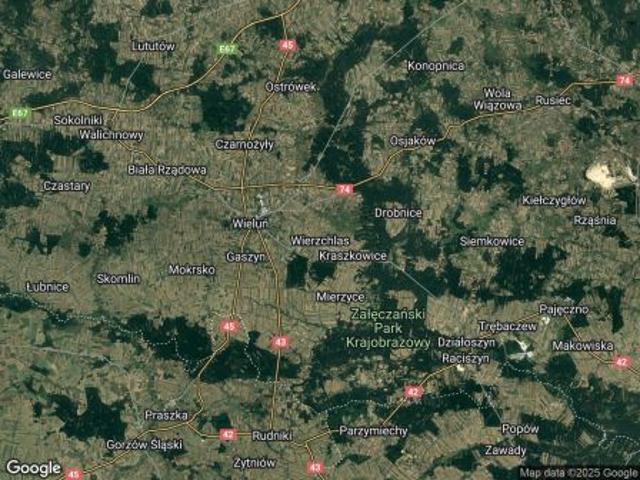 Grunt na sprzedaż w Wierzchlas, Łódzkie