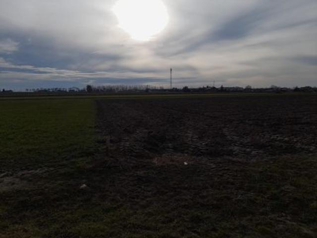Grunt na sprzedaż w Wierzchlas, Łódzkie