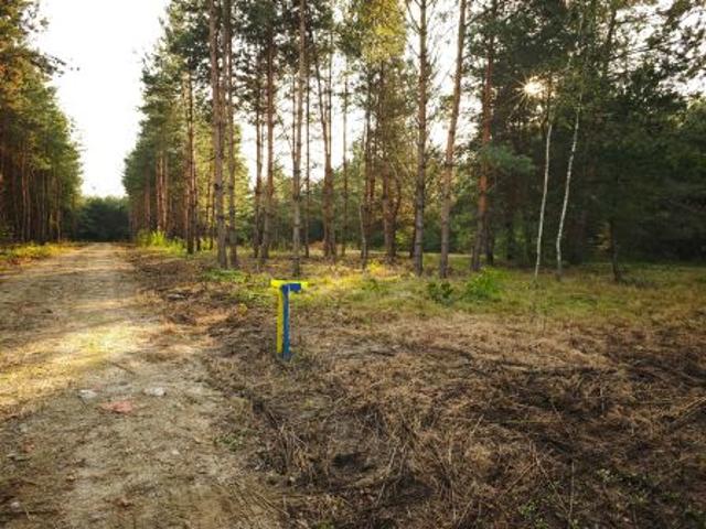 Grunt na sprzedaż w Wierzchosławice, Małopolskie
