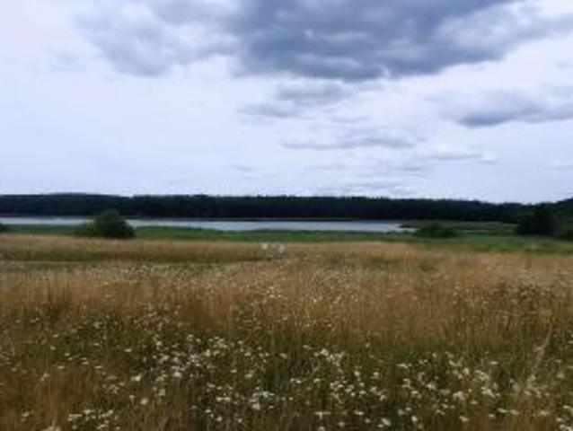 Grunt na sprzedaż w Wierzchowo, Zachodniopomorskie