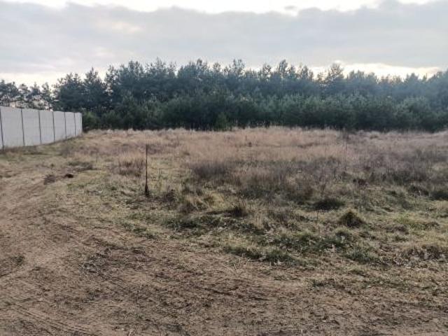 Grunt na sprzedaż w Wierzyce, Wielkopolskie