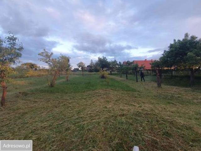 Grunt na sprzedaż w Wilków, Dolnośląskie