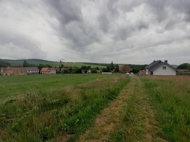 Grunt na sprzedaż w Wilków, Dolnośląskie