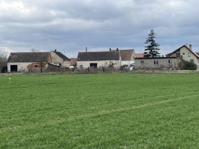 Grunt na sprzedaż w Wilków, Dolnośląskie