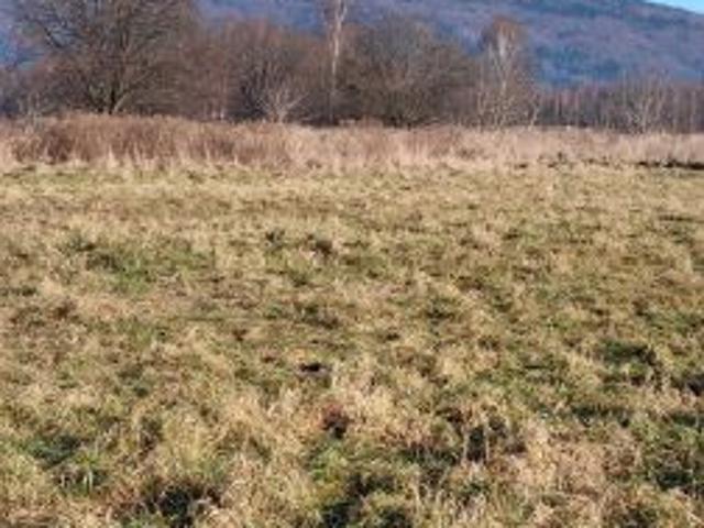 Grunt na sprzedaż w Wilkowice, Śląskie