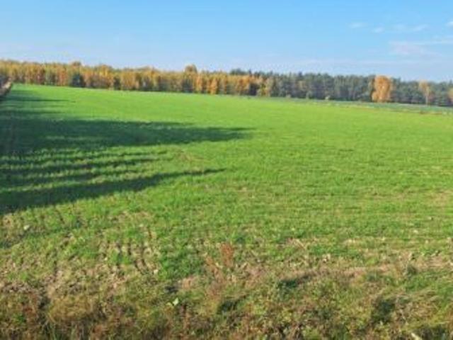 Grunt na sprzedaż w Winnica, Mazowieckie