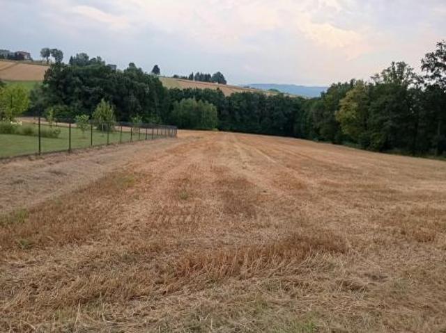 Grunt na sprzedaż w Witanowice, Małopolskie