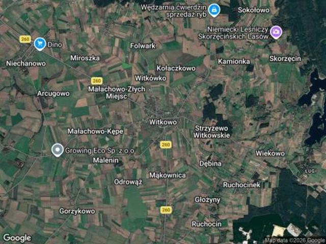 Grunt na sprzedaż w Witkowo, Wielkopolskie