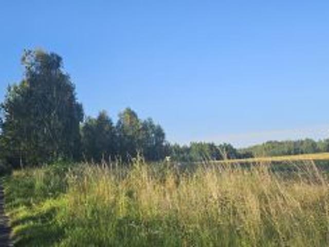 Grunt na sprzedaż w Wodynie, Mazowieckie